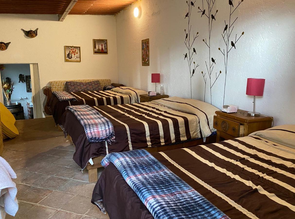 Jardin Quinta Las Fuentes Cabanas, Valsequillo. Puebla Dış mekan fotoğraf